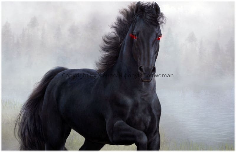 К чему снится чёрная лошадь
