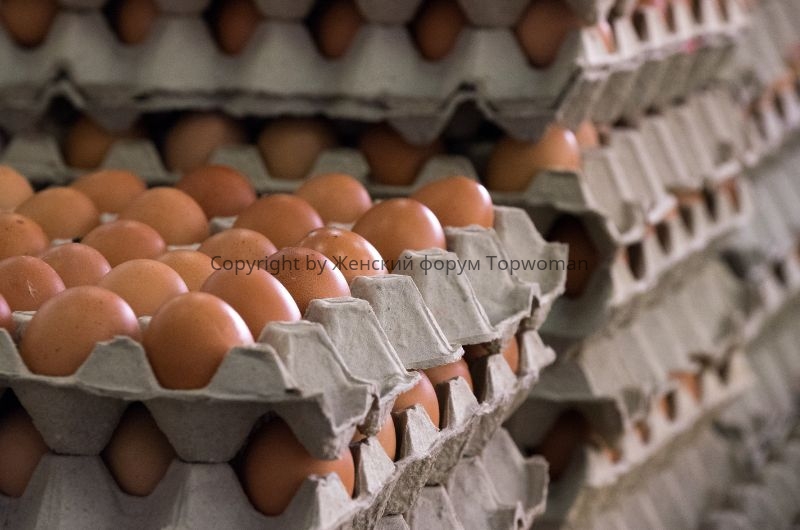 Как проверить яйца на свежесть в магазине