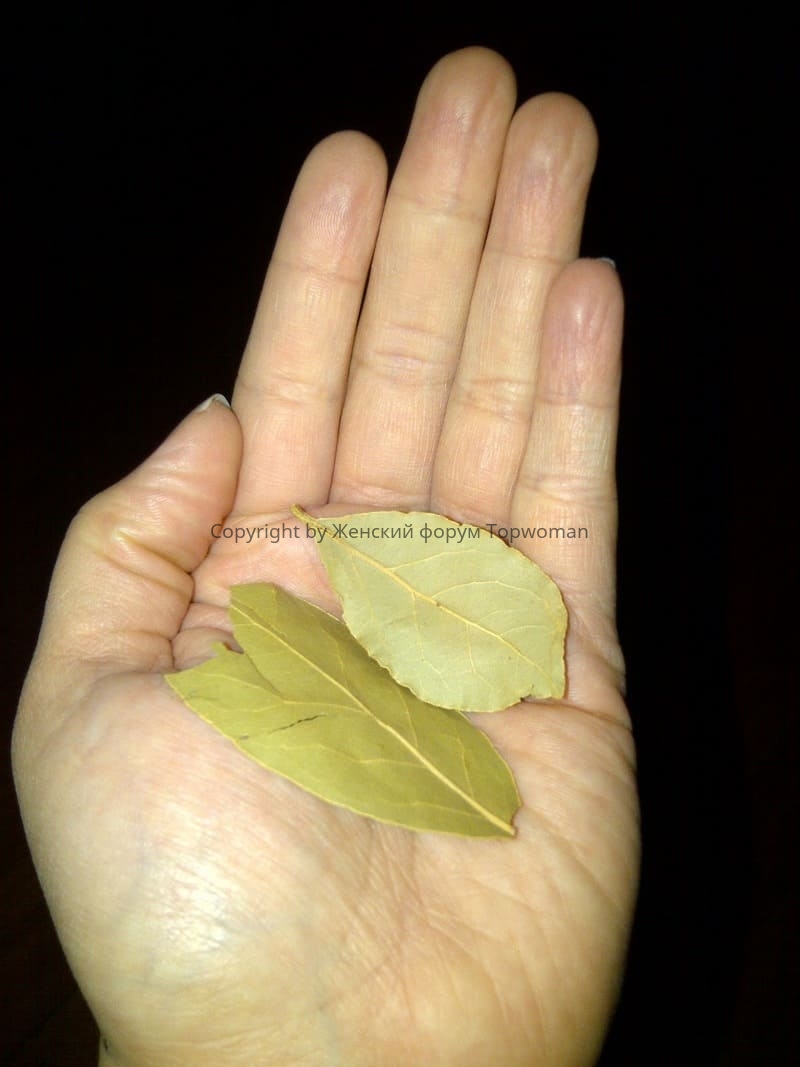 Ритуал с лавровым листом